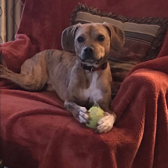 Meet your Posher, Mary - Picture 1 of 1